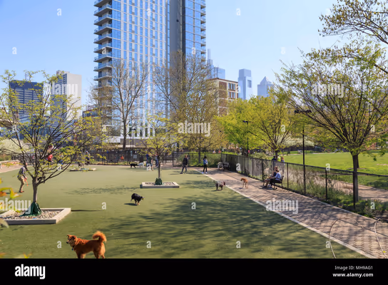 Dog Park at Schuylkill River Park photo 1